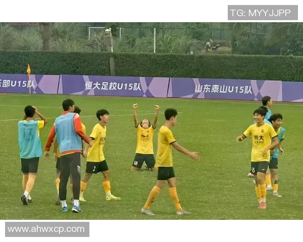 在线直播恒大对阵申花精彩赛事回顾与分析，尽享足球盛宴的每一个瞬间